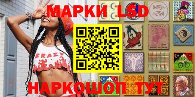 стафф Пенза