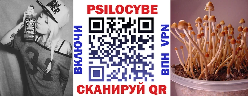 ОМГ ОМГ tor  Северобайкальск  Галлюциногенные грибы Cubensis 