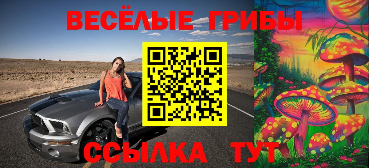 Галлюциногенные грибы мухоморы Северобайкальск
